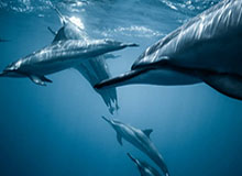 星空体育-开云体育中国：引领新时代体育娱乐新风尚